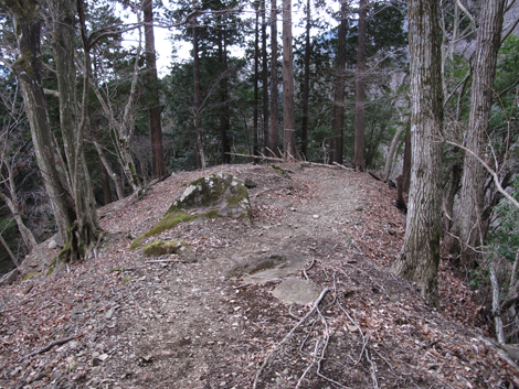 20160204hike (343)